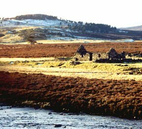 cottage ruins photo