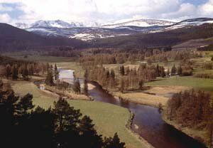 River Dee photo